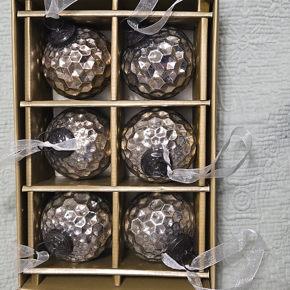 Cynthia Rowley Set of 6 Silver Holiday Glass Ornaments